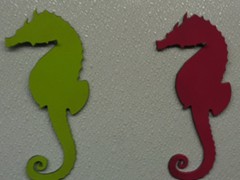 Sea-Horse-Green-and-Red-1024x849